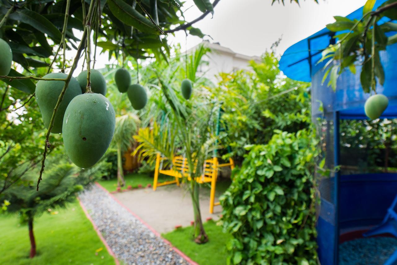 Galaxy Guest House Bhairāhawā 외부 사진